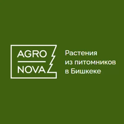 Логотип AgroNova на зеленом фоне